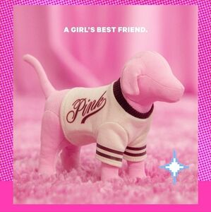 Victoria's secret pink mini dog CLASSIC VARSITY limited edition